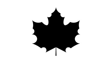 Maple leave icon vector design. Fall icons vector