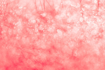 Pink bokeh on circle abstract light background.Blurred abstract pink background.