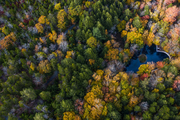 Aerial view on the lake in Heart shape in Halifax , Nova scotia Canada during the colorful fall.