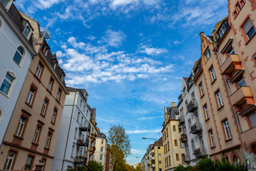 Fototapeta premium Looking from the park to the sky. Sky with clouds and blue.