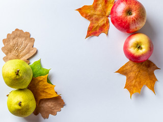 Autumn background with red apples, yellow pears and autumn leaves on a white background. Top view with space for text.