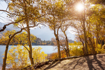 Fototapeta premium Autumn lake