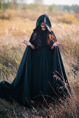 A girl in a black dress, a cloak with a hood. It stands in a high dry grass in the field against the background of the forest. Witch Costume, Satanist, Necromancer, Halloween Costume. - obrazy, fototapety, plakaty