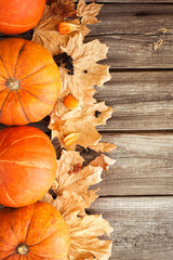 Pumpkins. Autumn background. Close up