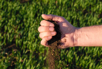 the earth spills out of the hand down into the background of a planted field in spring