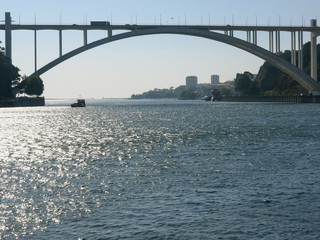 Obraz premium Arrabida Bridge and Douro River in Porto, Portugal