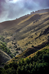 Landscape, field is beautiful in, Sicily, Italy