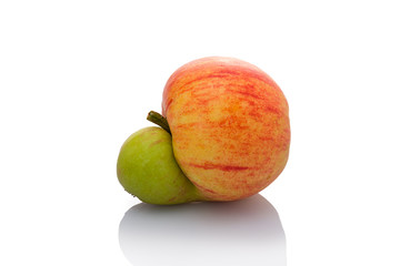 Doppelter Apfel in rot und grün