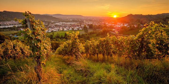 Weinberg Sonnenunterngang Remstal Sommer