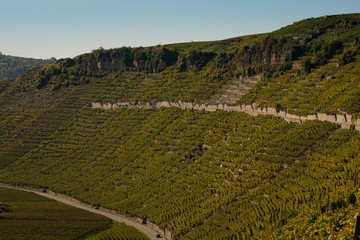 Mundelsheim Weinberg mit Felsen