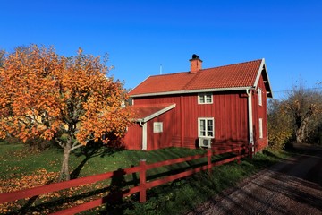 typical wooden red house in Sweden