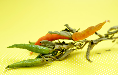 organic homegrown dry hot chili pepper