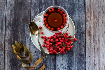 Hot healing tea, mountain ash tea. Applied with a lack of vitamins, anemia, metabolic disorders. Reduces the level of harmful cholesterol in the blood, strengthens blood vessels. 