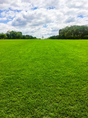 Low Angle View of Washington DC Lawn 