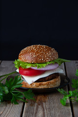 hamburger on white background