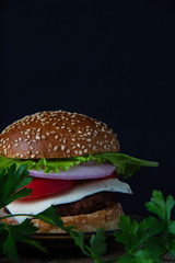 hamburger isolated on black background