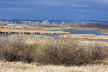 gloomy autumn landscape with a view of the rushy lake