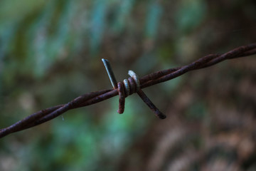 Alambre de metal entrelazado.