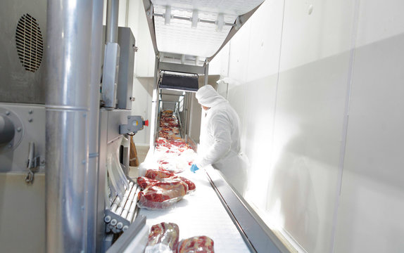 Buenos Aires, southern city of Mar del Plata, Argentina - MAY 07, 2015: Side view of butchers in white uniform working at conveyor belt packing meat on factory