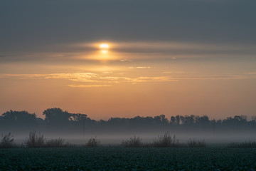 sunset over field