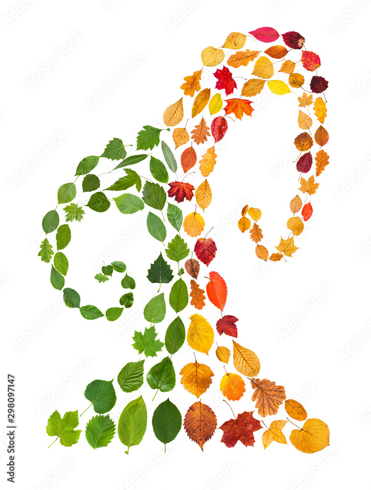 Wall mural pattern from fallen leaves in the form of a tree