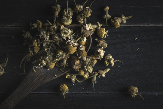 Closeup of dried daisy heap in wooden spoon on dark table for tea making