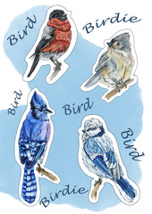 Stickers Winter birds