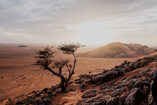 View of desert against sky
