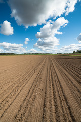 Fototapeta premium plowed field and blue sky