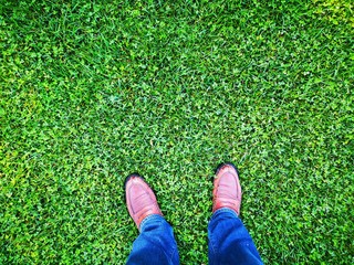 my feet in the green lawn