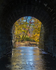 Fall Tunnel 