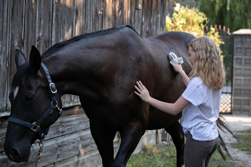 girl brushing a beautiful horse, Grooming horse