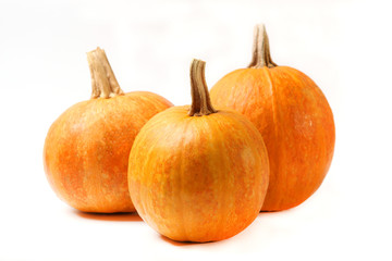 pumpkins on a colored background. Thanksgiving background. Autumn background.