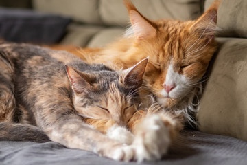 Wir gehören zusammen 