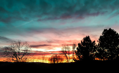 Fototapeta premium Colorful sunset with silhouette of trees in foreground.