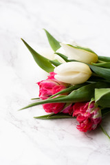 Bouquet of white and pink tulips in the hands of a child on a light background close up