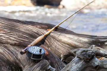 Antique fly rod and reel on a gnarled cedar tree near a river