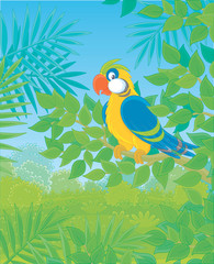 Obraz na płótnie Canvas Funny colorful parrot perched on a green tree branch in tropical jungle, vector illustrations in a cartoon style