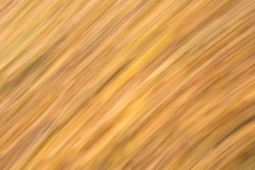 abstract yellow and brown background