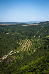 Fototapeta na wymiar aerial view of a mountain landscape
