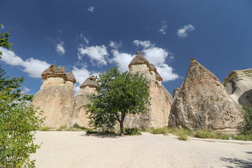 Rock Formations in Pasabag Monks Valley, Cappadocia, Nevsehir, Turkey