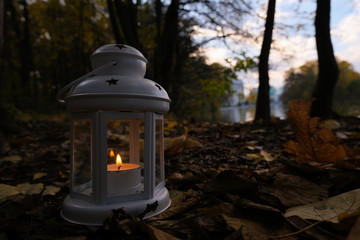 White lantern in forest background. Close up