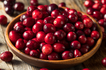 Raw Red Organic Cranberries