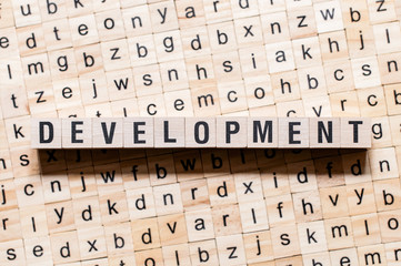 Development word concept on cubes
