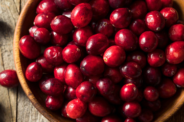 Raw Red Organic Cranberries