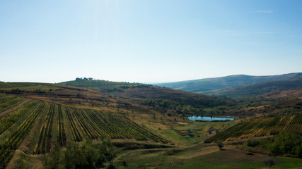 Fototapeta na wymiar Aerial shot of beautiful rural vineyard
