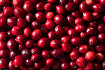 Raw Red Organic Cranberries