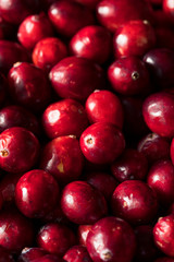 Raw Red Organic Cranberries