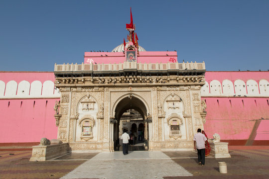 Karni Mata Ratten-Tempel (Indien)