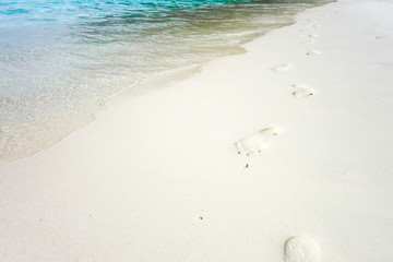 Fototapeta na wymiar footprints on a tropical beach